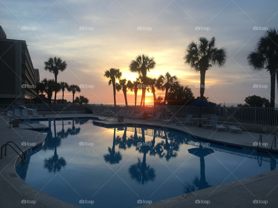 Sunrise, palm trees, and pools