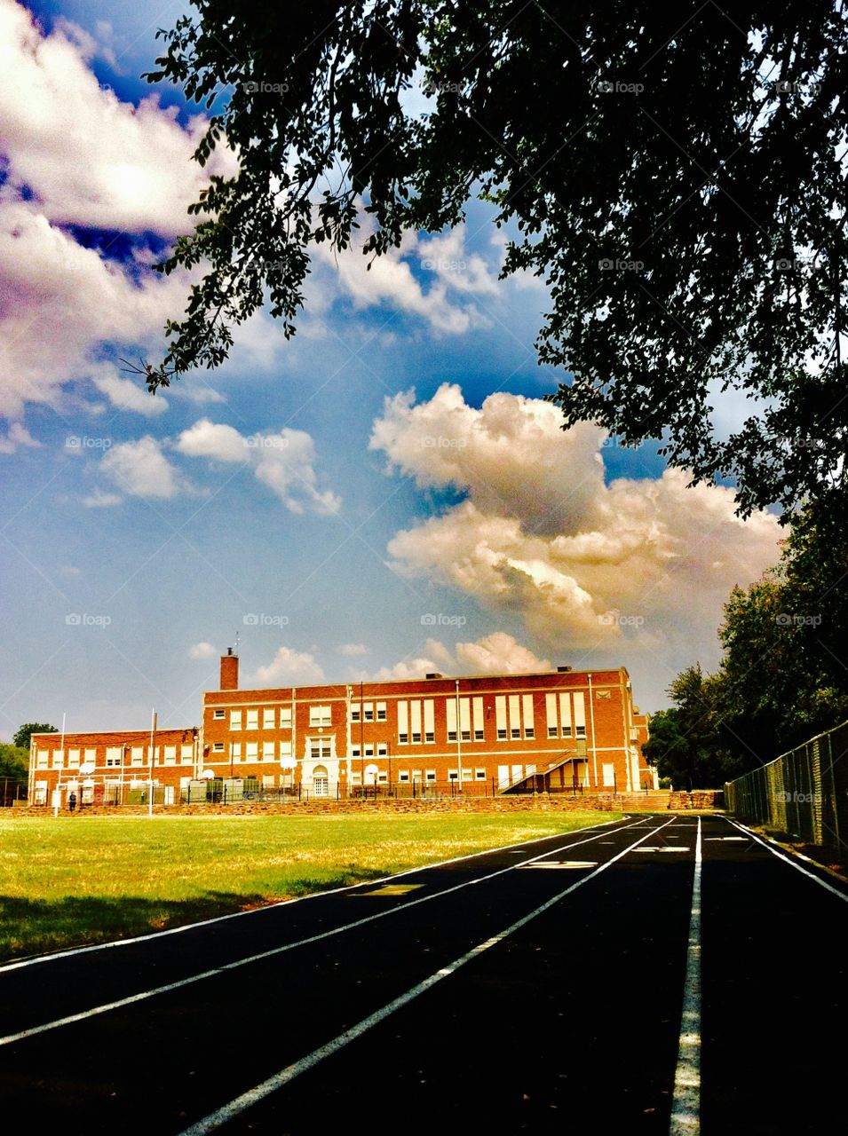 Middle school landscape 