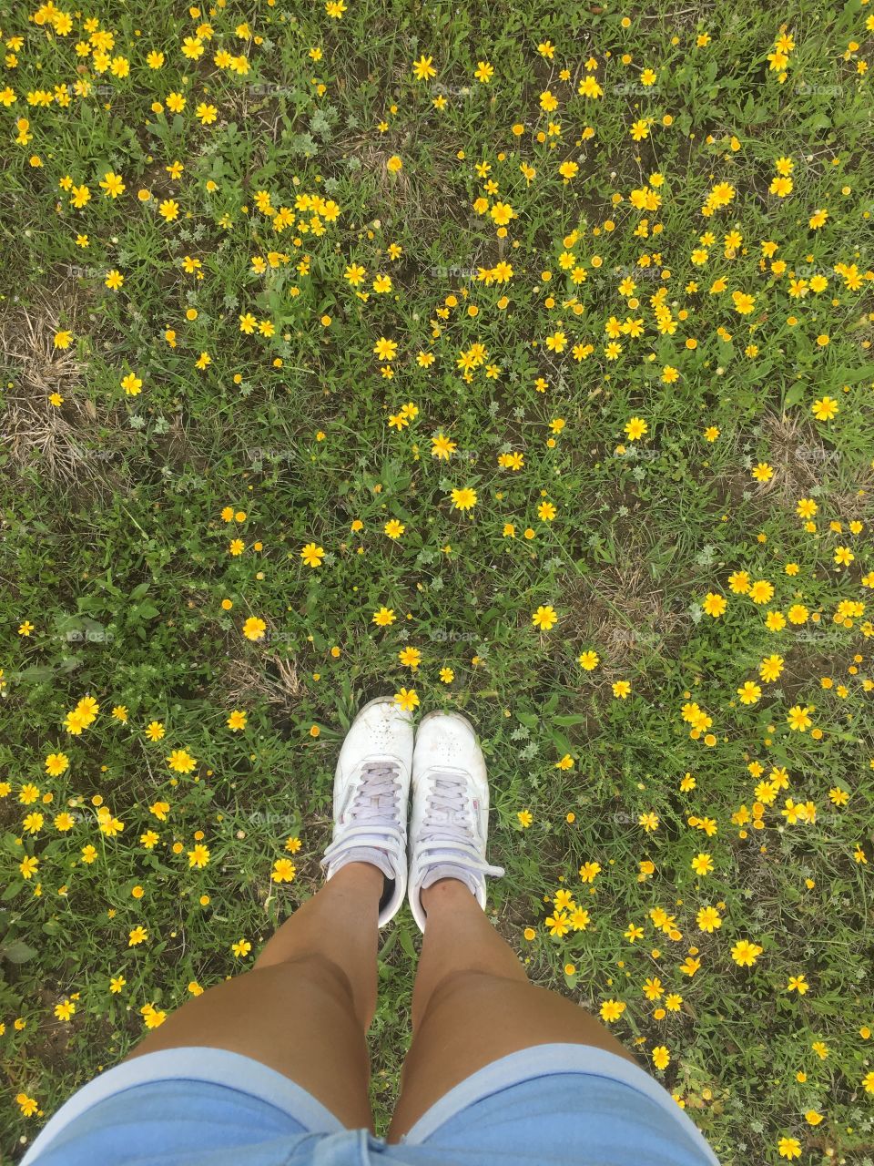 I love springtime don’t you! So many kinda of wildflowers, loving these yellow ones especially 