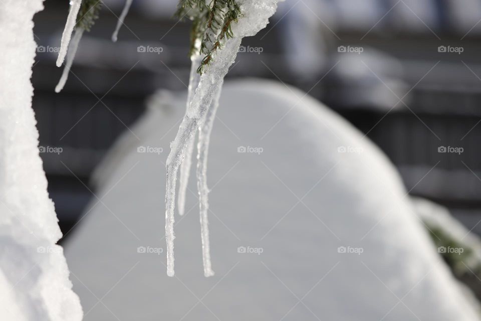 Icicles 