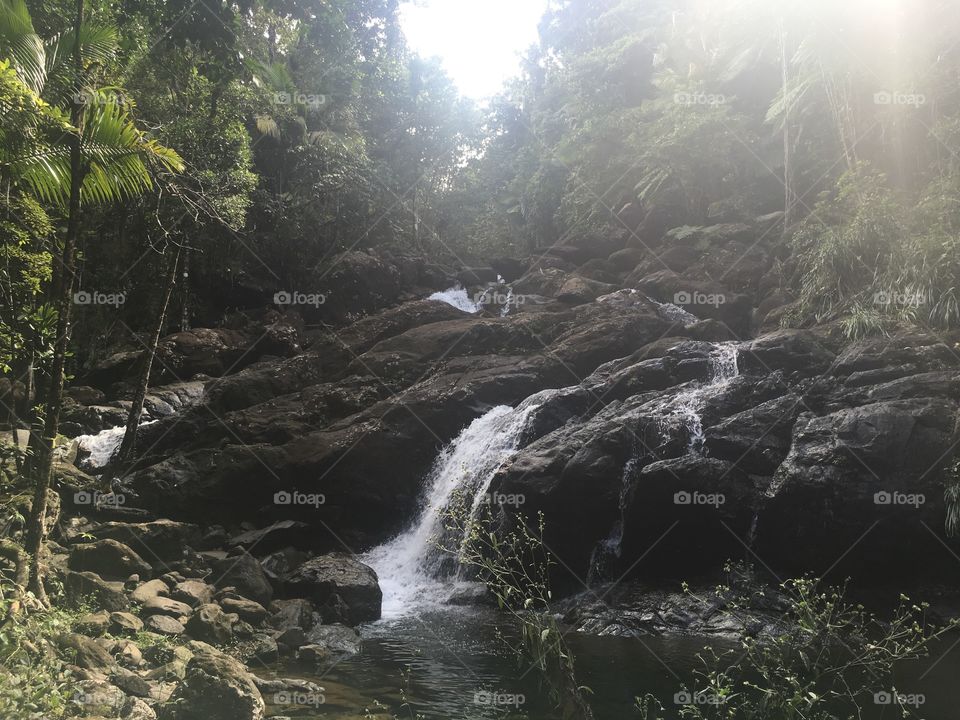 El Yunque Rainforest, Puerto Rico 