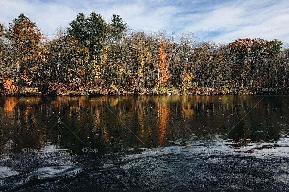 Autumn - New Hampshire