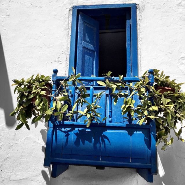 Balcony with green plant life on it 