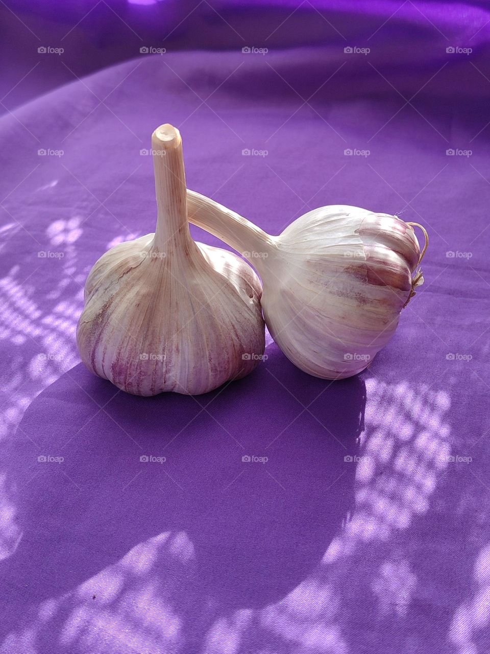 Capture the Power of Complementary Colors,