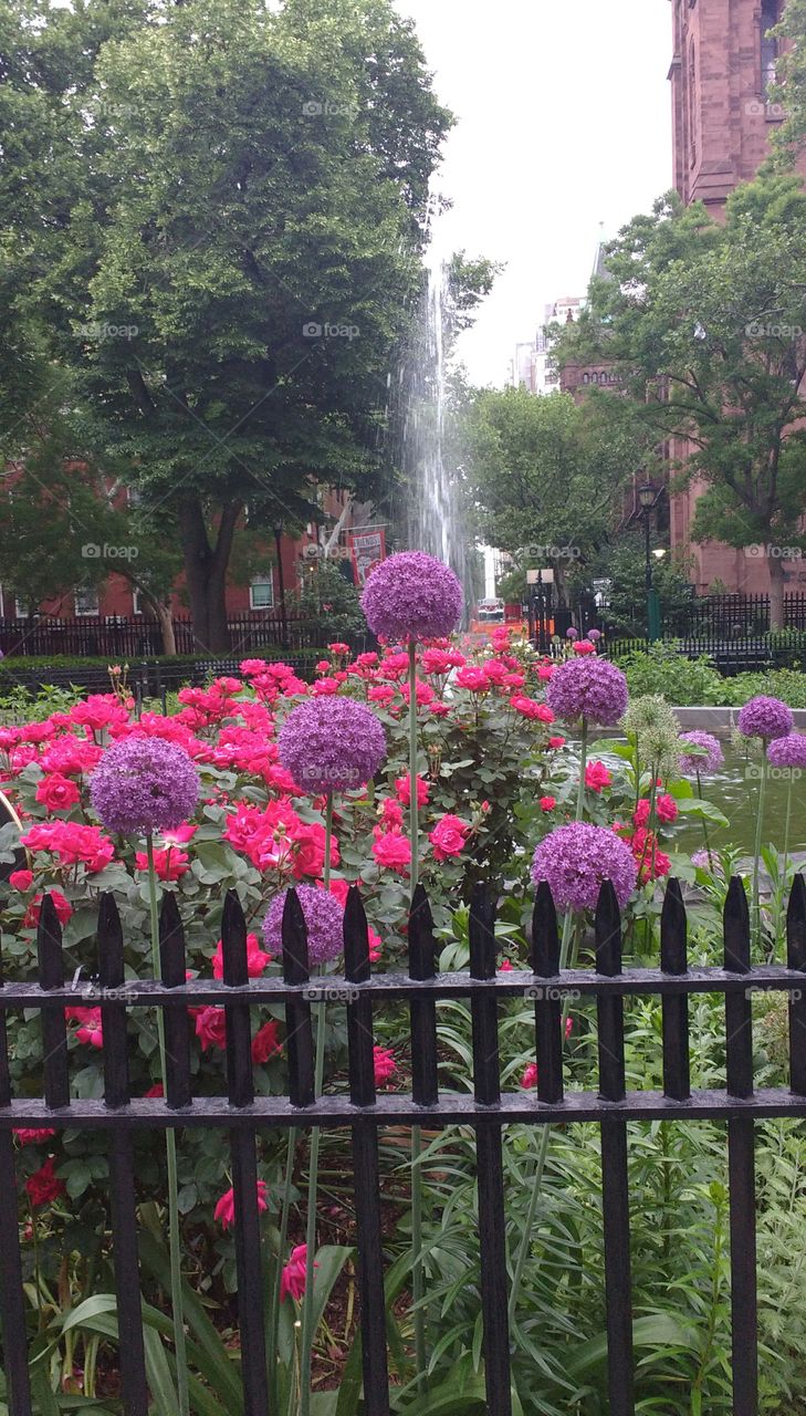 Flowers Fountain Fence NYC