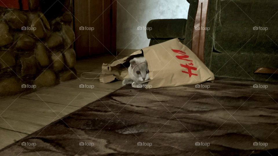 Everyone has their own house.