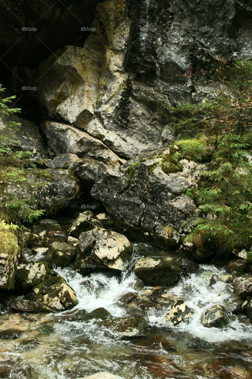Great rock and stream in the mountains