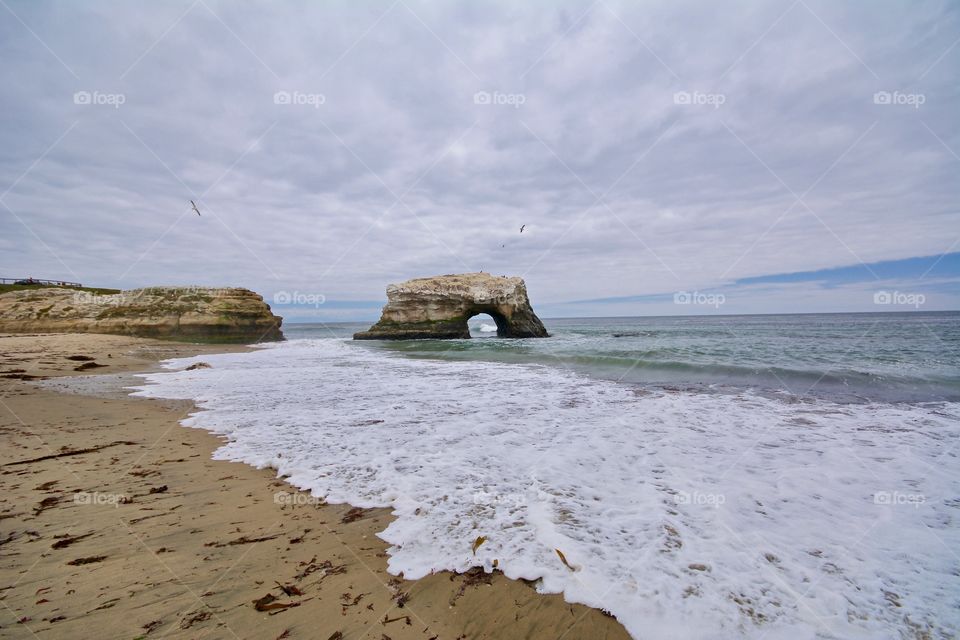 Natural Bridges state marine reserve in Santa Cruz - California 