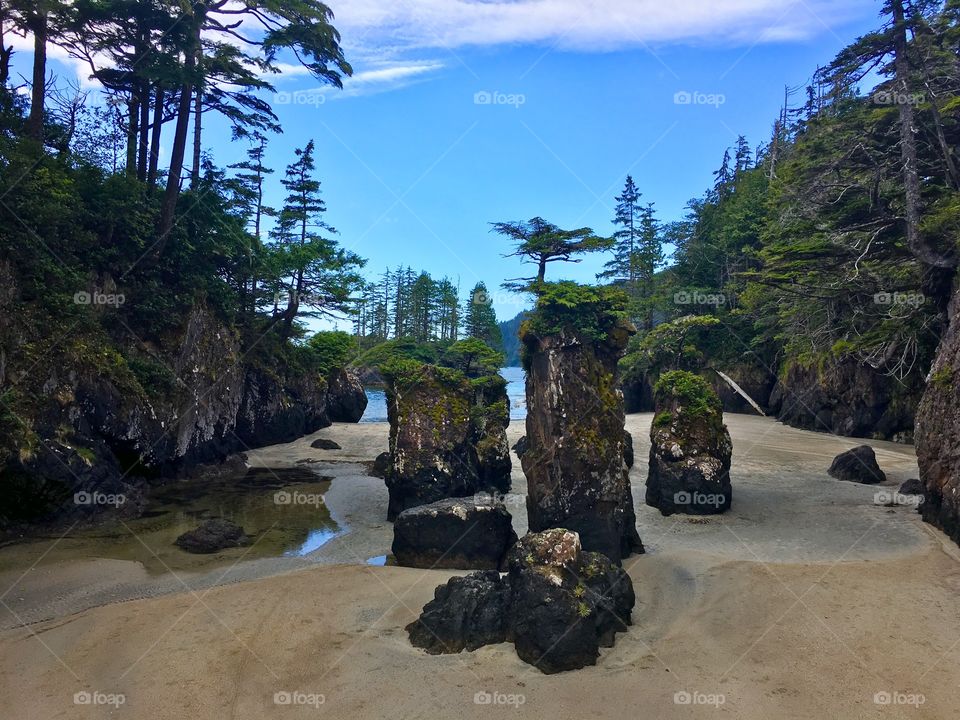 San Josef Bay, Vancouver Island, British Columbia, Canada 