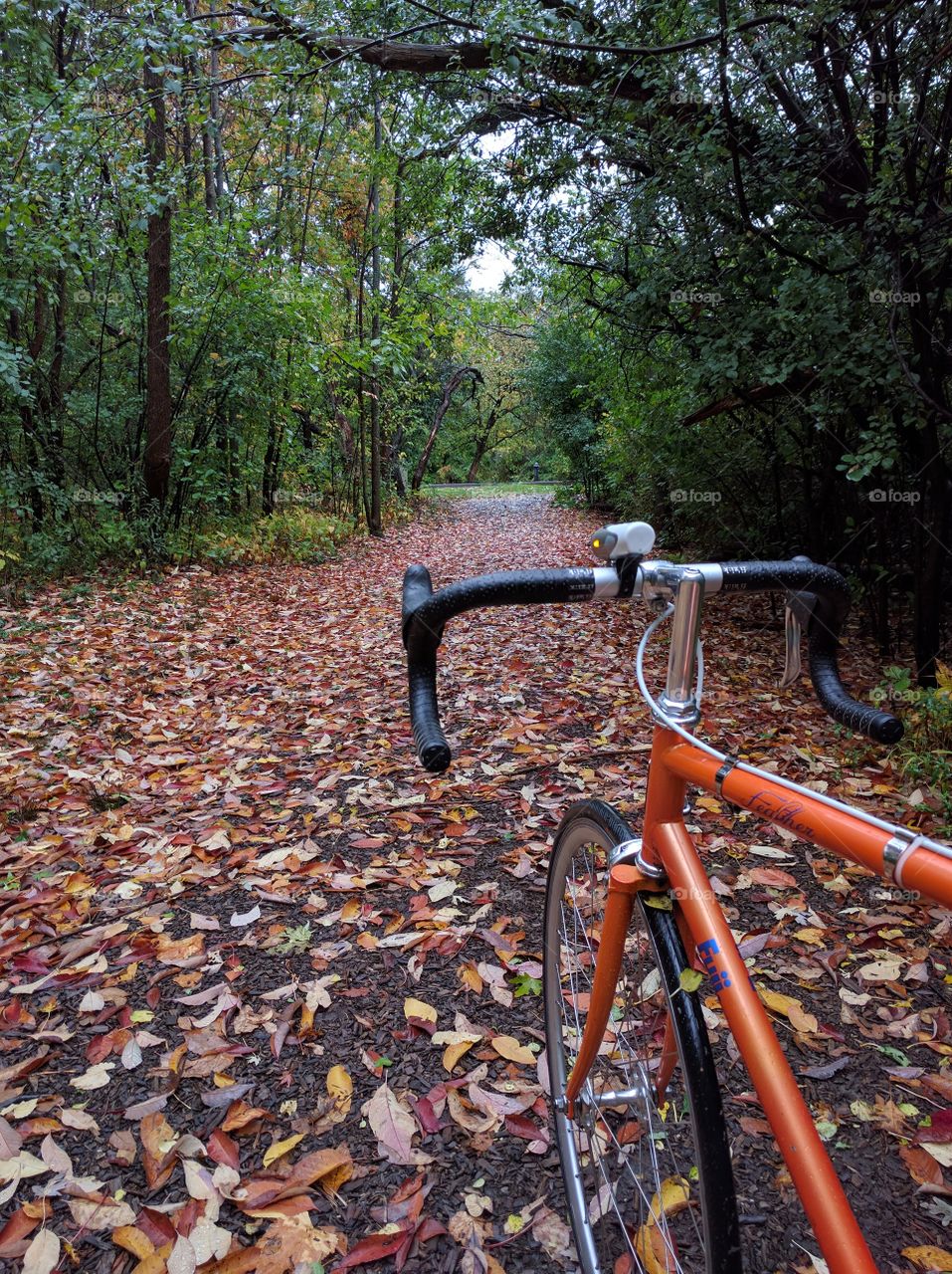 Bike path covered with leaves