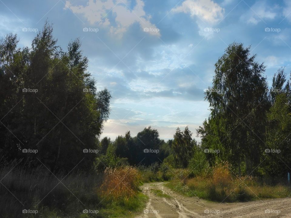 autumn road