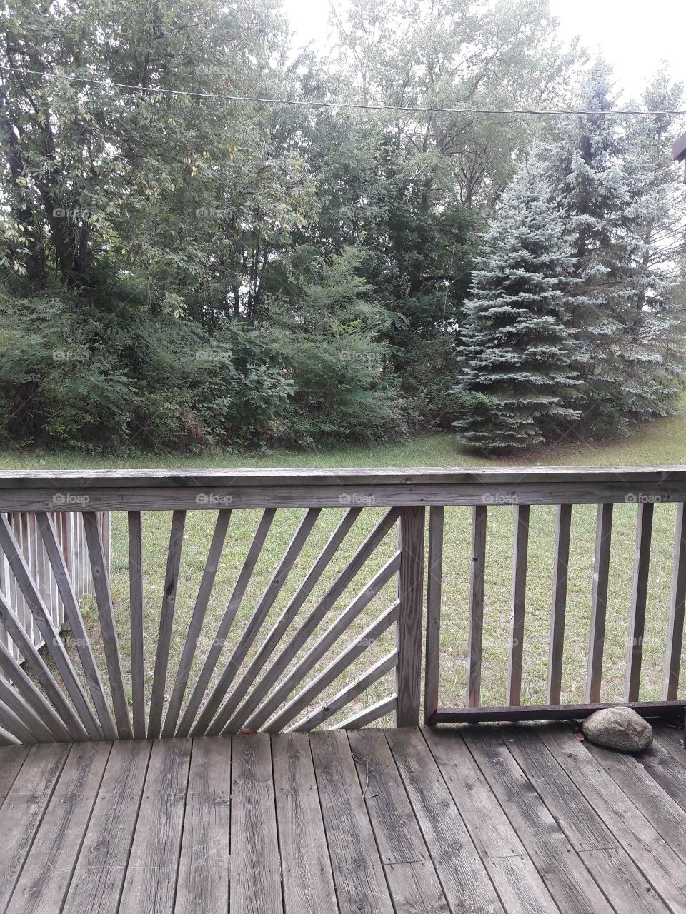 Backyard trees and deck in Northern Michigan