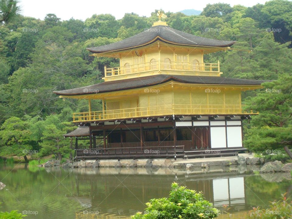 Kinkakuji Temple, Kyoto, Japan . The Golden Pavilion --- one of Japan's most revered shrines. 