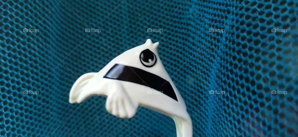 Fish mouth on the net