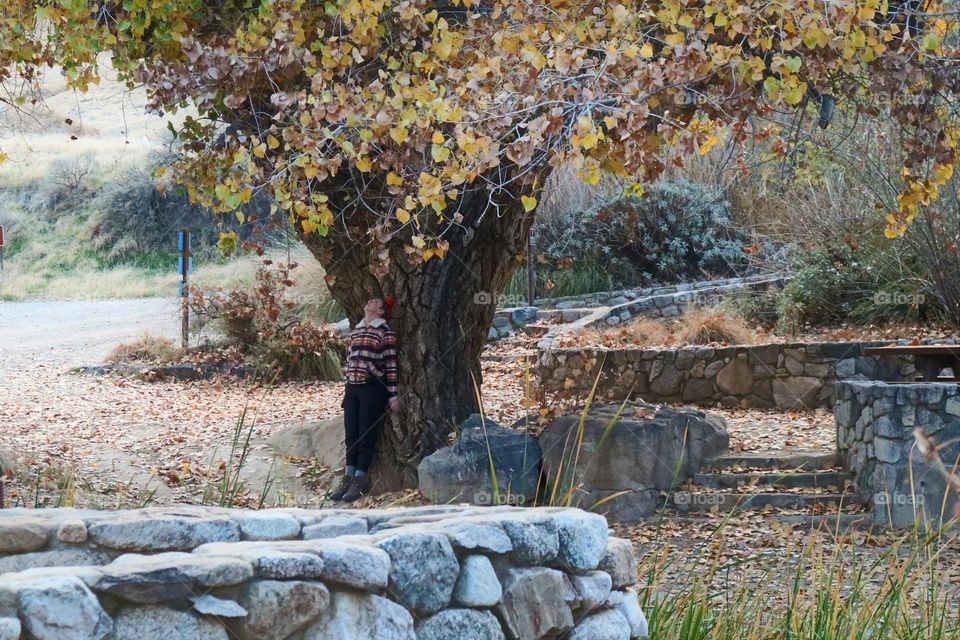 Have you hugged a tree today?