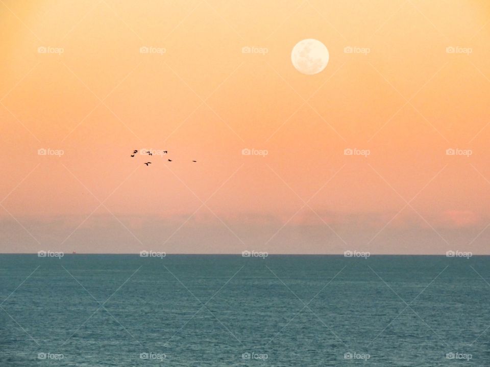 Sunset. A wonderful view of the sea and moon during the sunset and a set of birds coming through the sky.