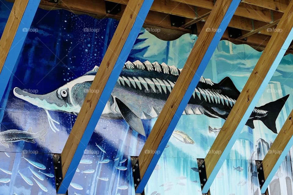 “Sturgeon.”  A brightly painted mural of a sturgeon sits under the eaves of a harbor side building.