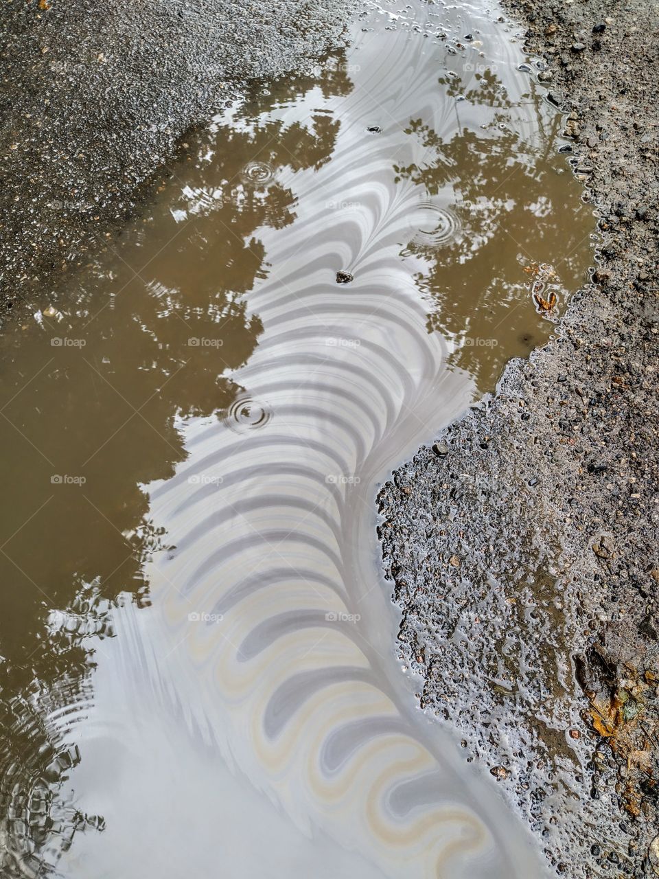 Beautiful pattern in the pool after the rain