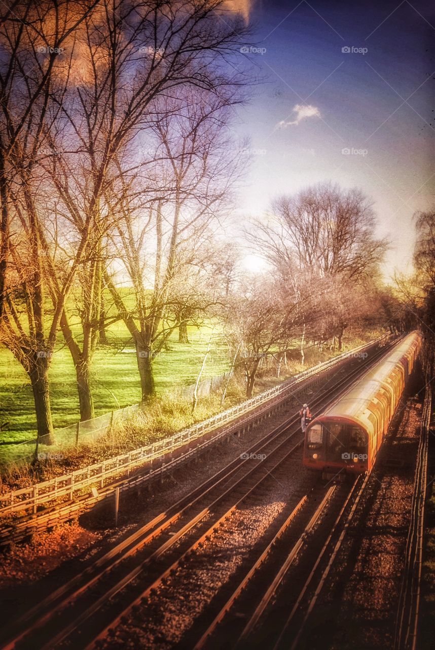 Train. Railway line 