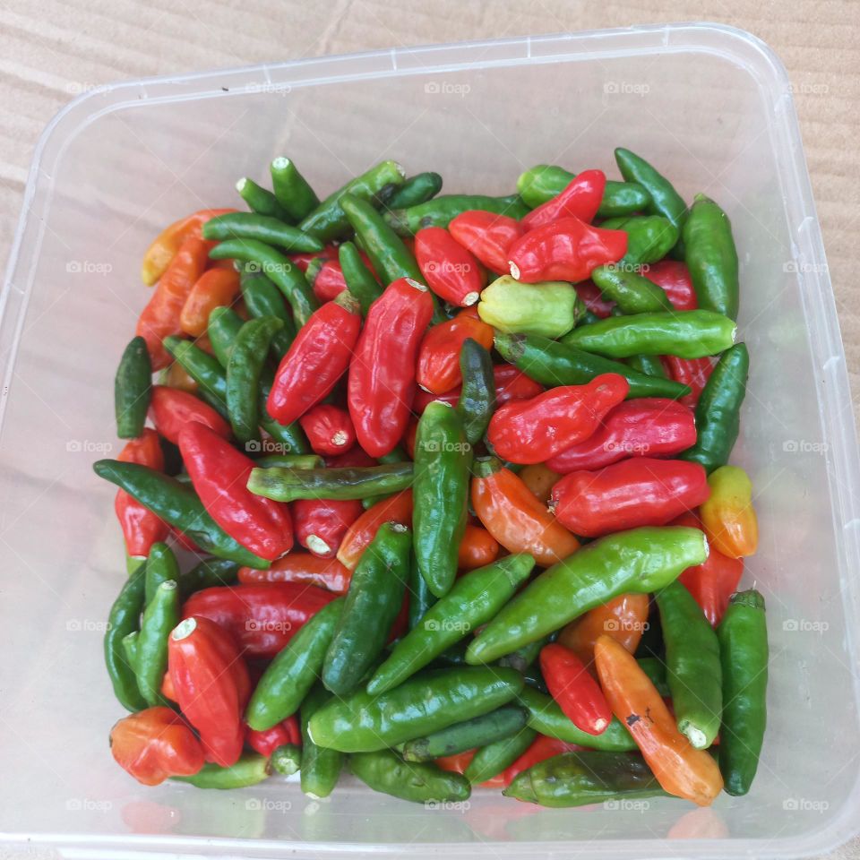 Cayenne Pepper is a horticultural plant of a type of vegetable that has small fruit with a spicy taste.