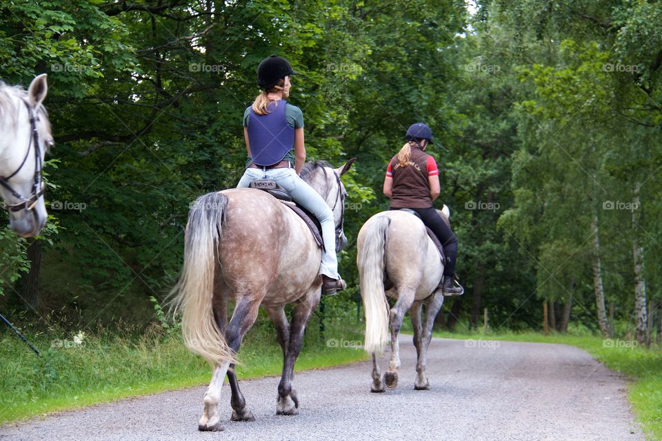 Summer with horses . Horse riding in the summer 