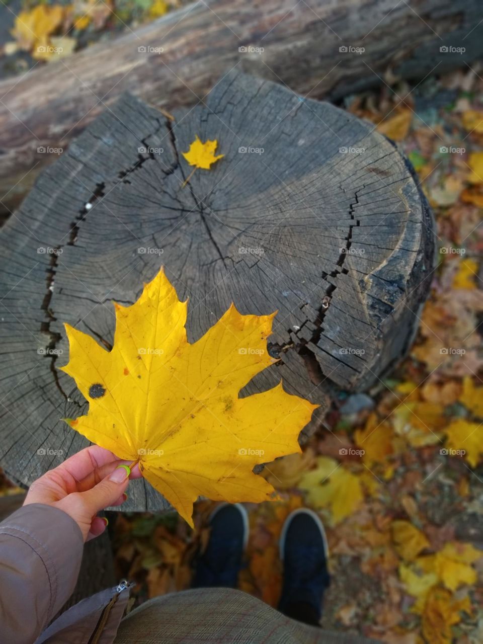 Girl's hand holding a yellow autumn leaf