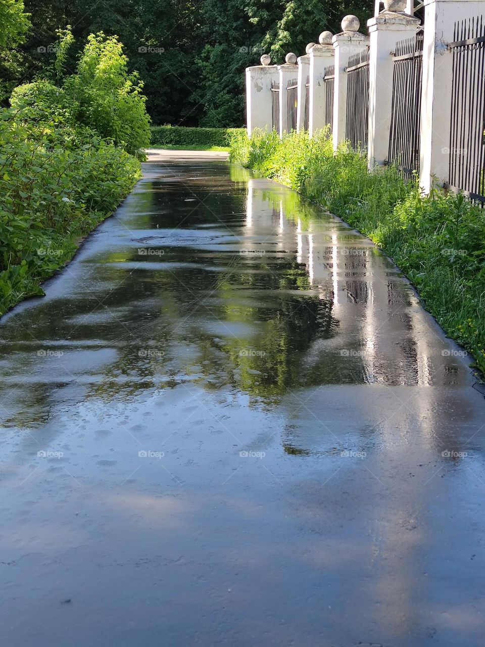 Road in the park.  Green trees on one side, white stone fence with white stone balls on the opposite side.  Green trees, a white fence and a blue sky are reflected on the wet pavement.