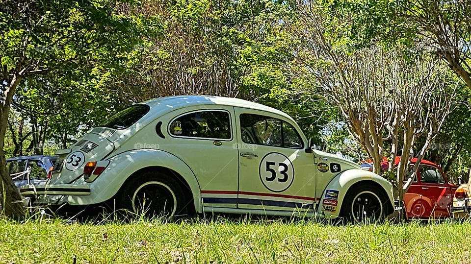 VW "Herbie," the Wolwagen beetle, parked in the shade. Famous, never forgotten.