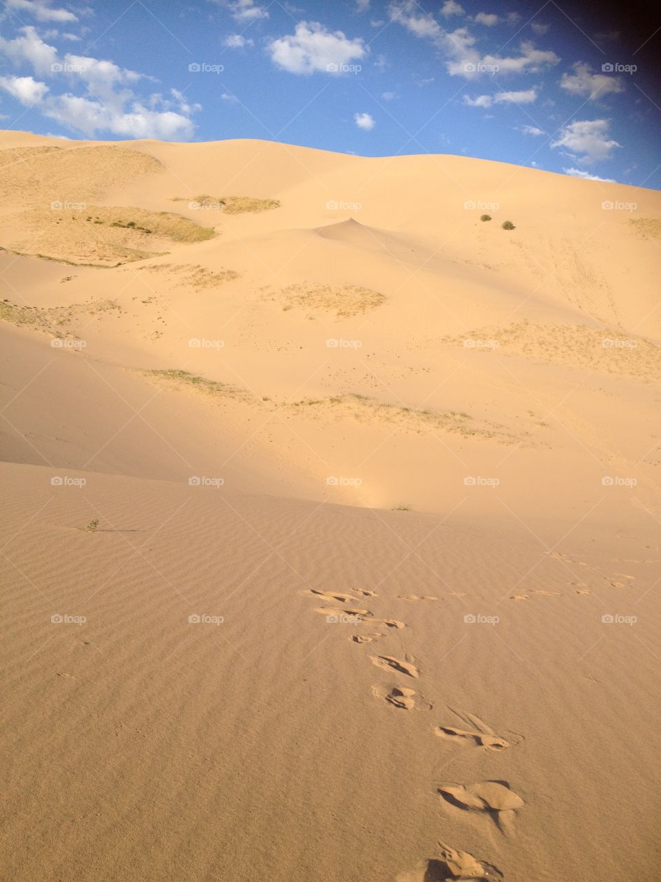 Gobi Desert