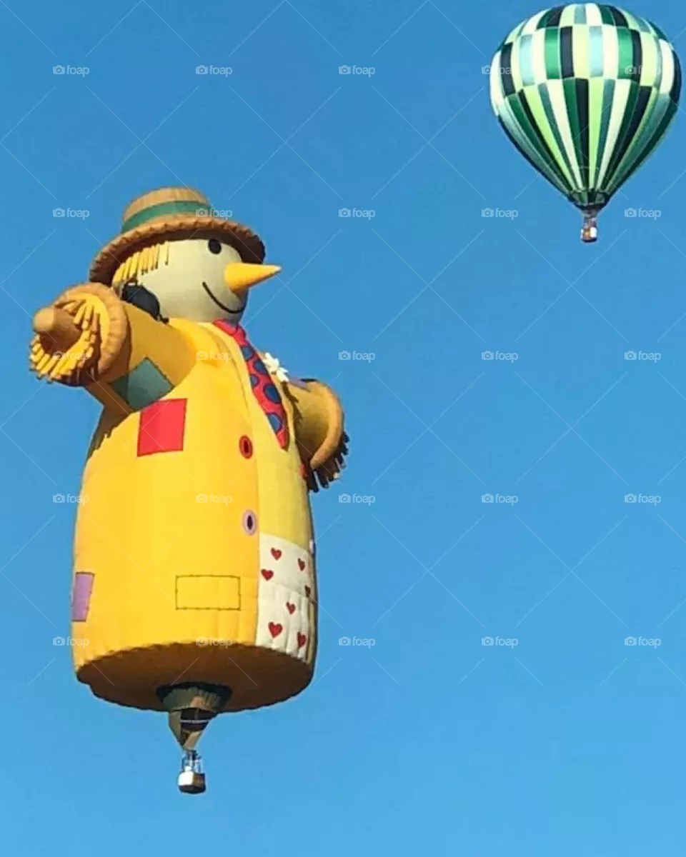 Hot air balloon 