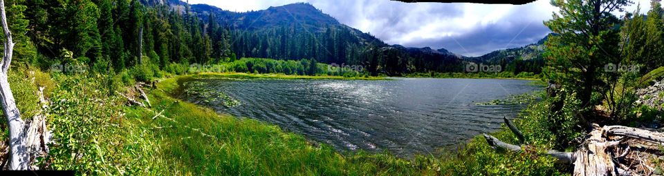 Lily Lake Tahoe. No stores just a beautiful place big lily pads beaver damn and bears !