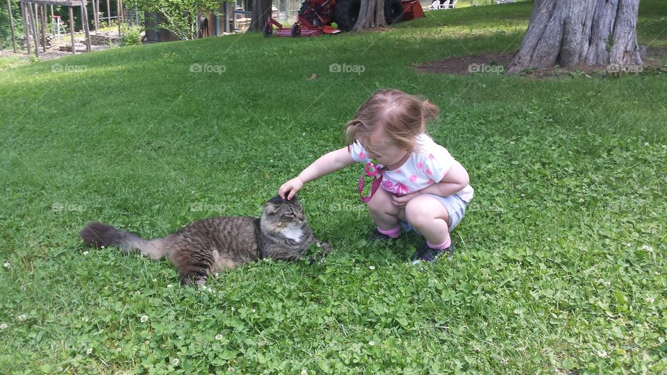 Hello kitty. my daughter petting a our friends cat upstate ny