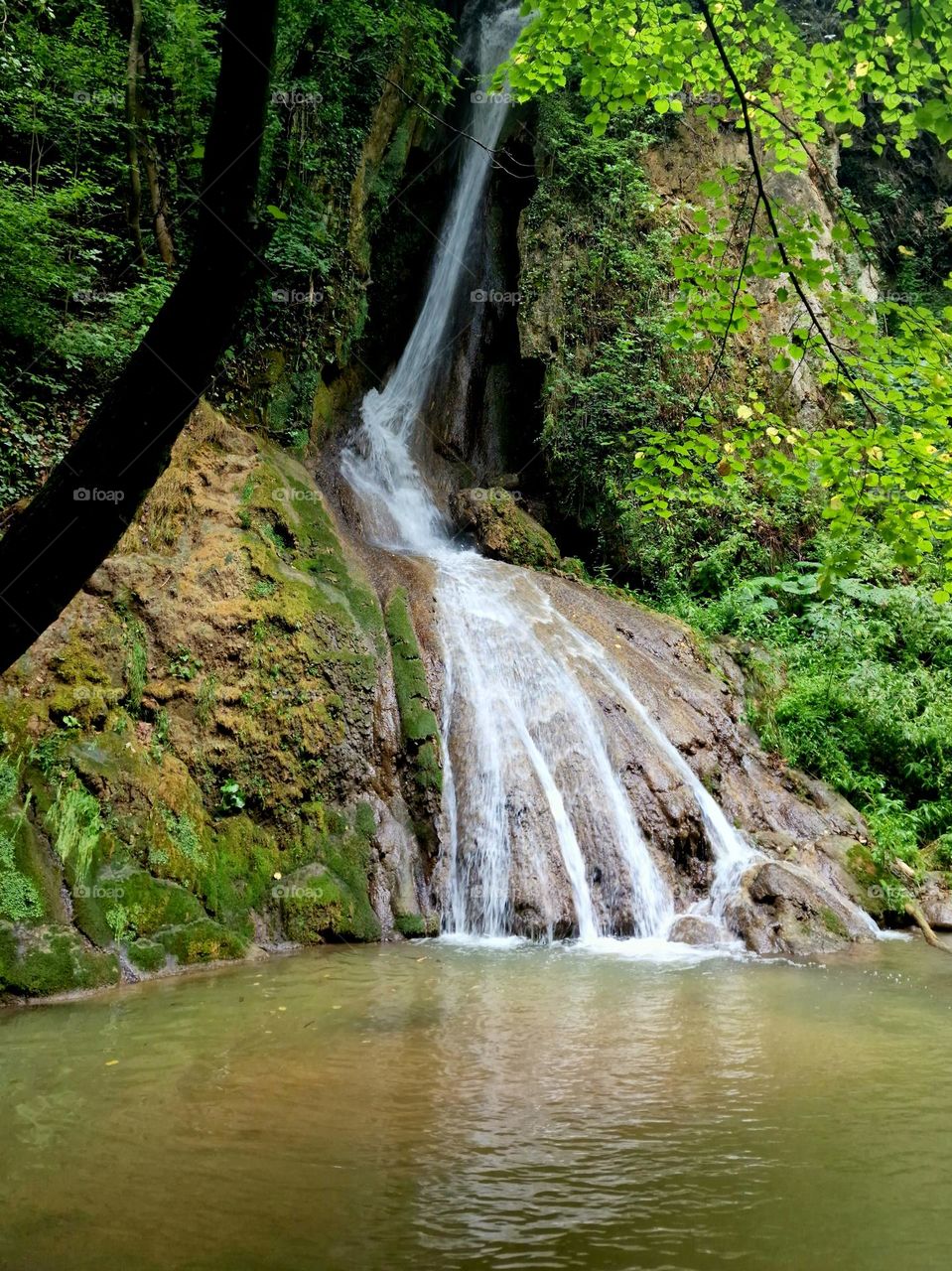 Buraul mare waterfall landscape