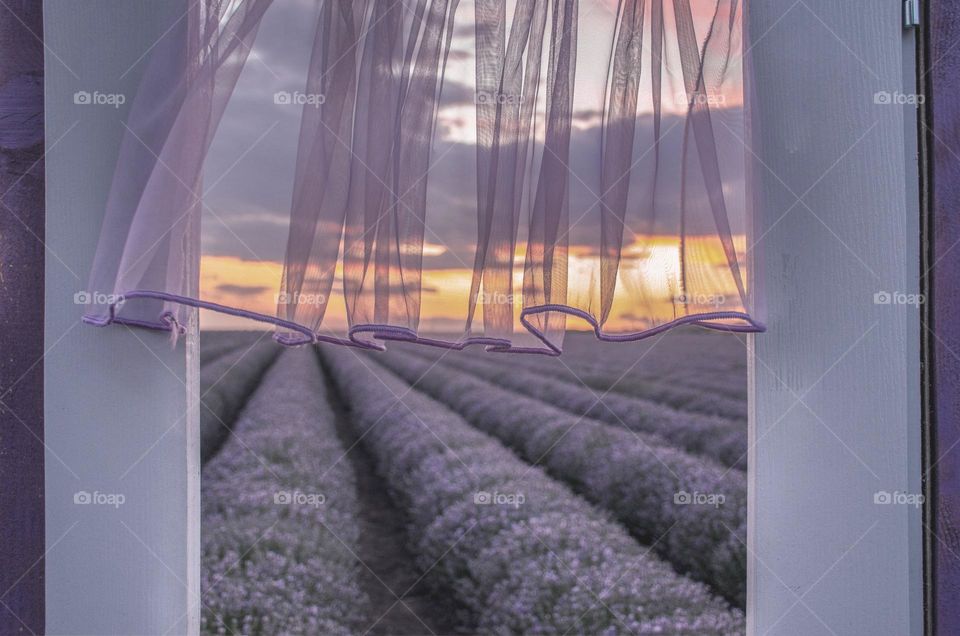 Door in purple with a curtain on lavender fields