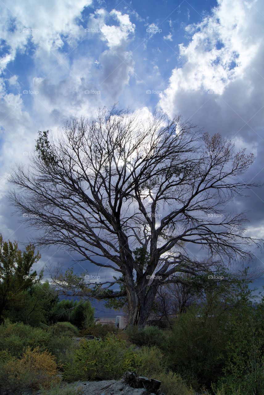 Storm clouds 