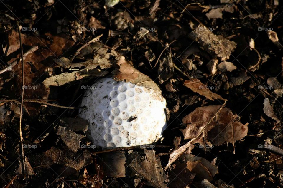 Found Your Golf Ball