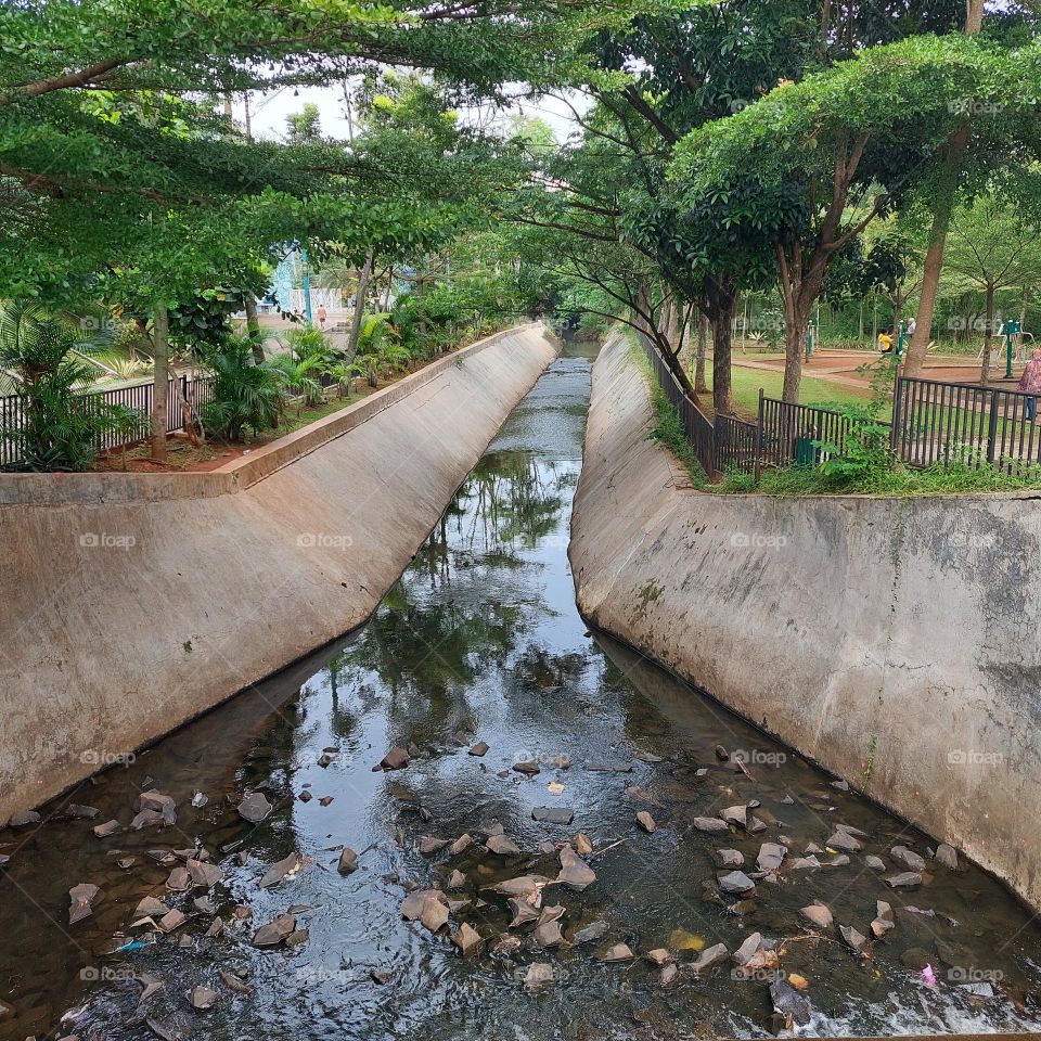 watershed, river with green trees on the edge