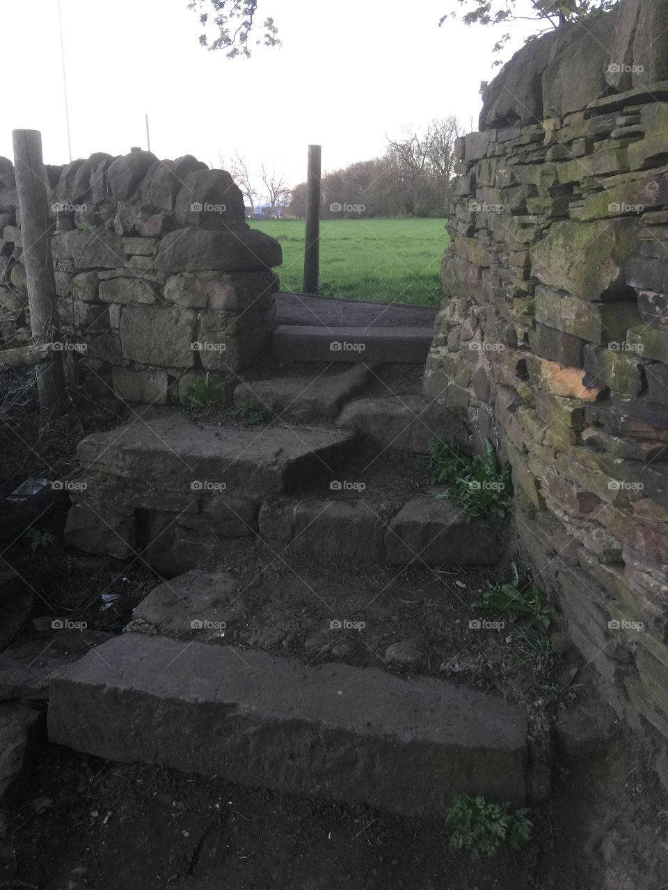 Old pathway leading to a field. 