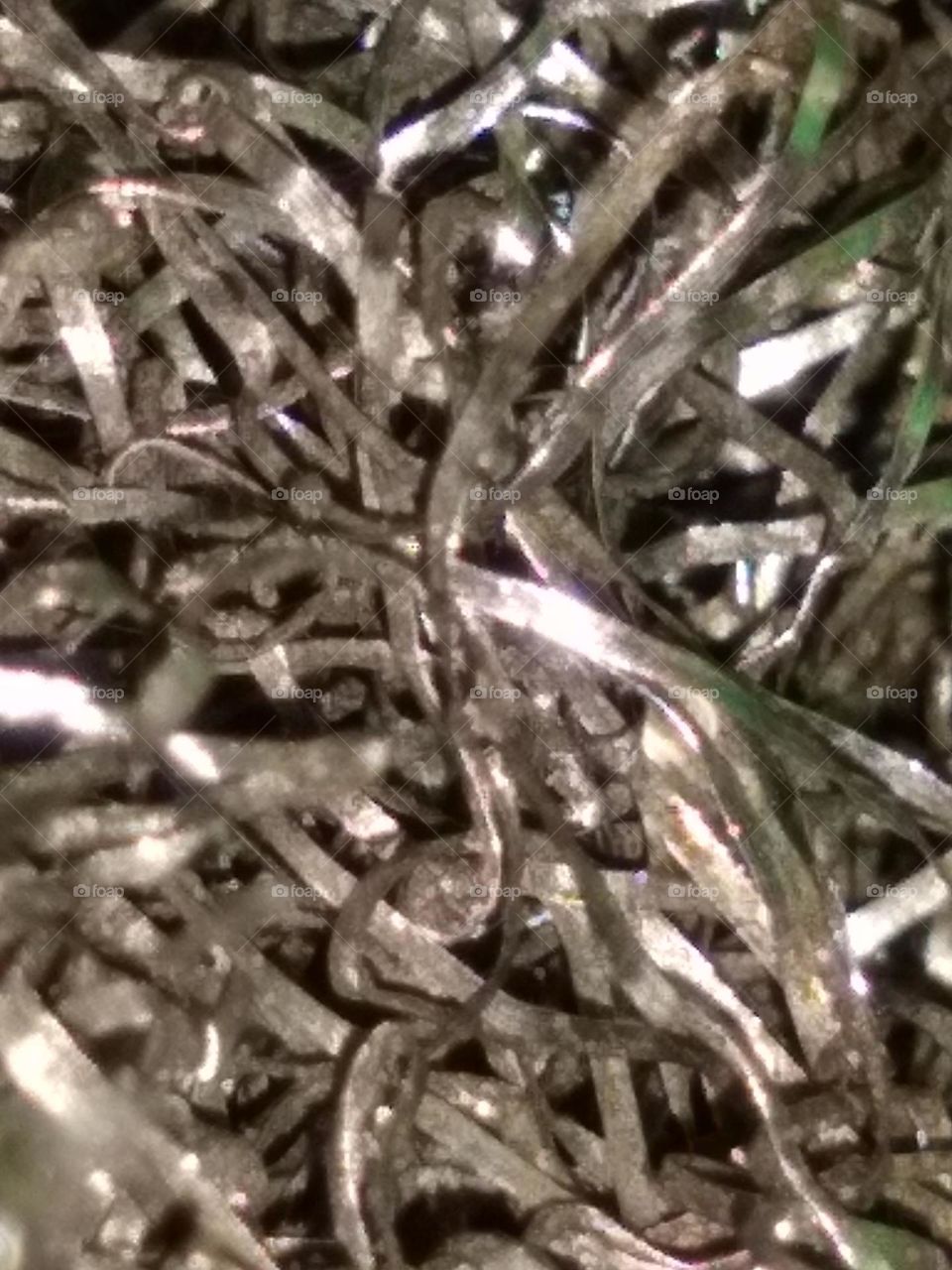 An up close shot of a metal scouring pad in my kitchen.