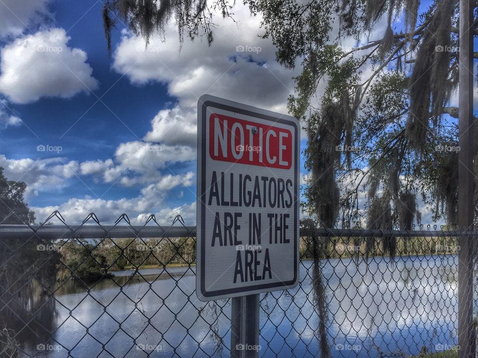Alligator sign in the area in Florida 