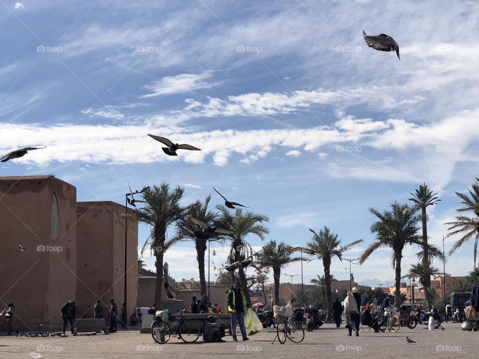 a flock of flying pigeons in the sky 