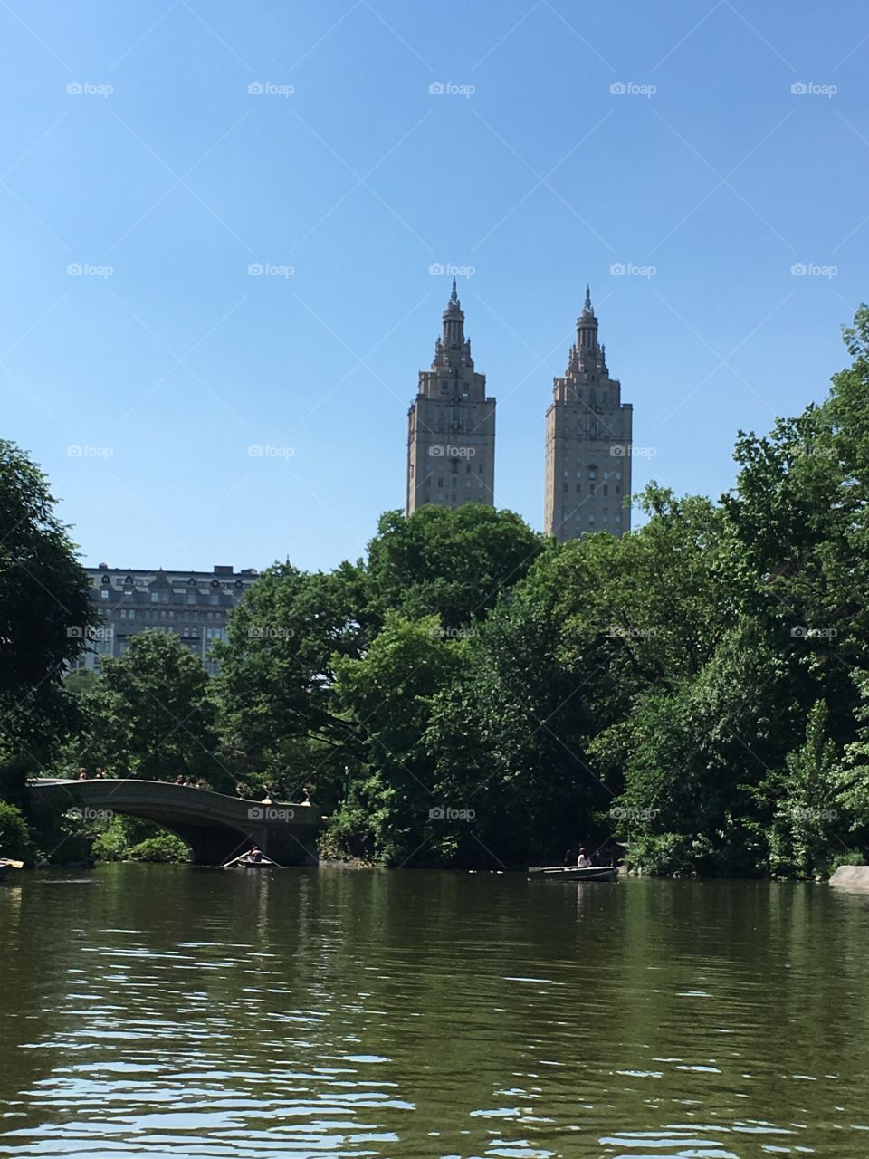 NYC buildings out of nature
Central Park 