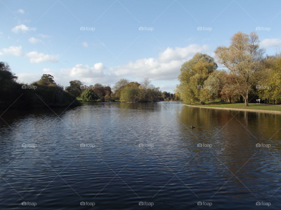 Autumn Lake