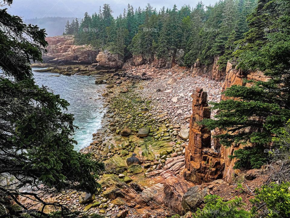 “Monument Cove.” This view is a highlight along the Ocean Path Trail along the Park Loop Road in Acadia.