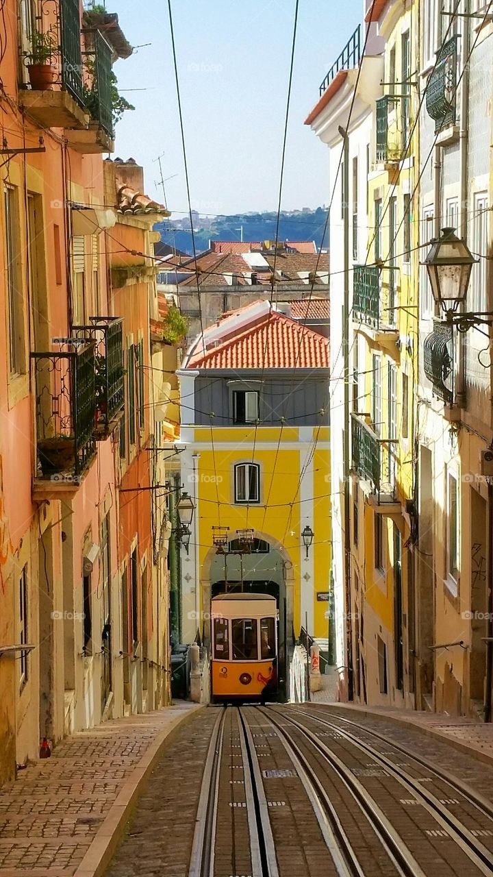 lisbon