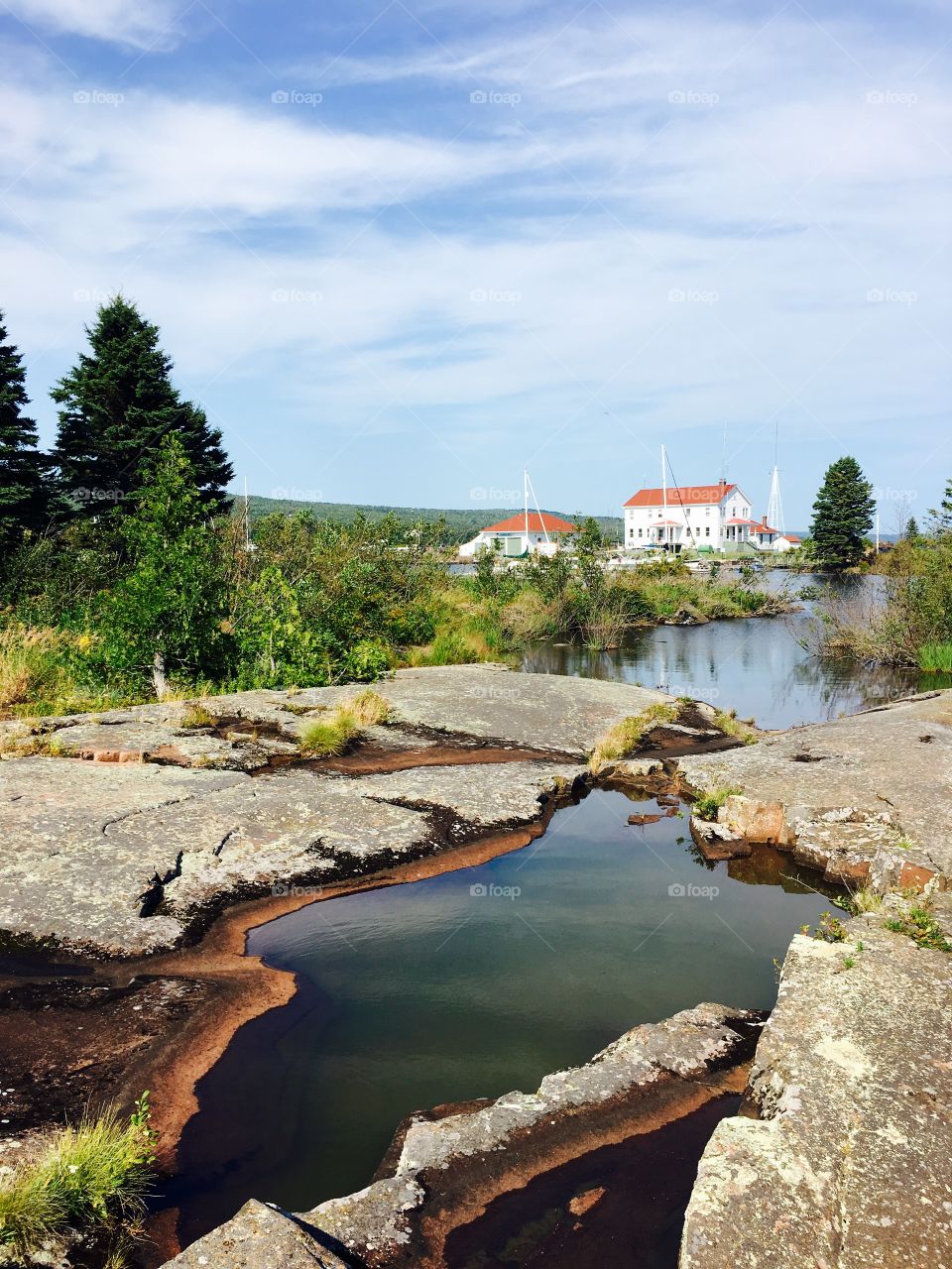 Scenic view of nature