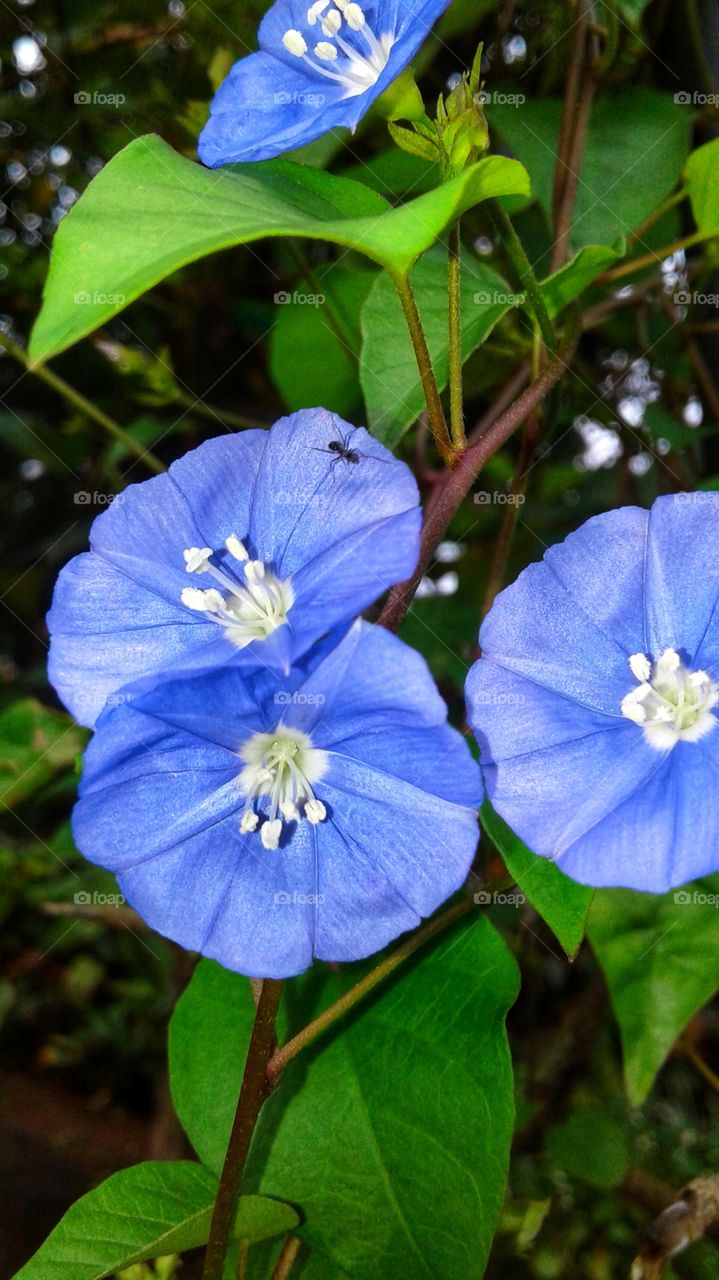 beautiful colour spinning
