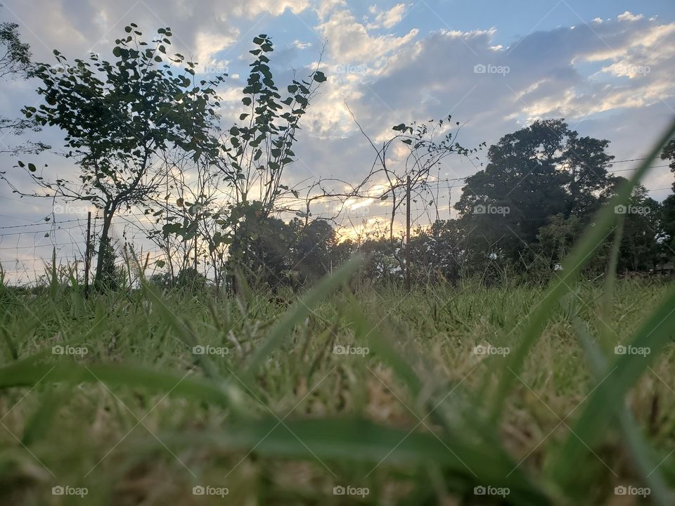 Ground perspective in the evening sky