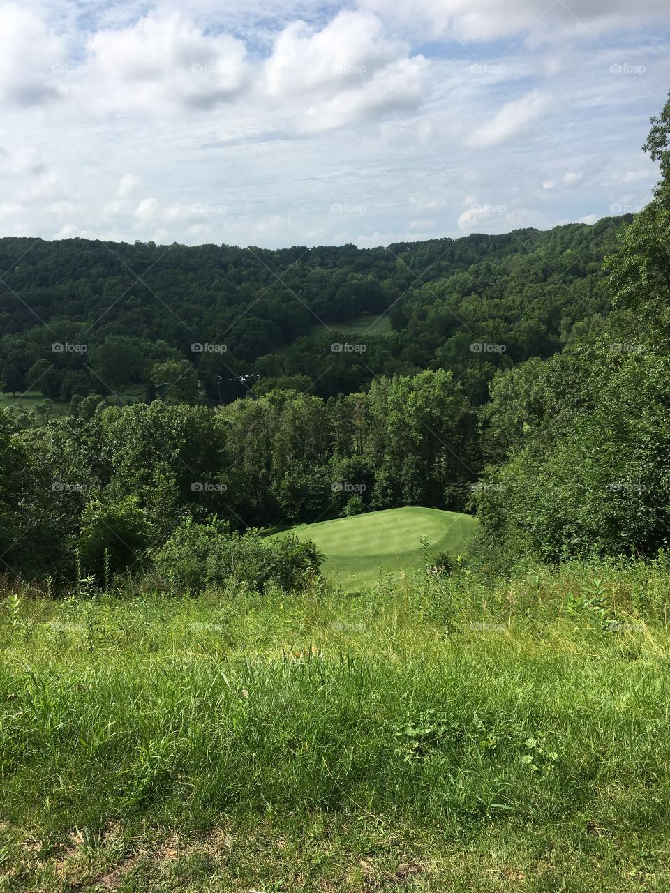 Pretty golf course view