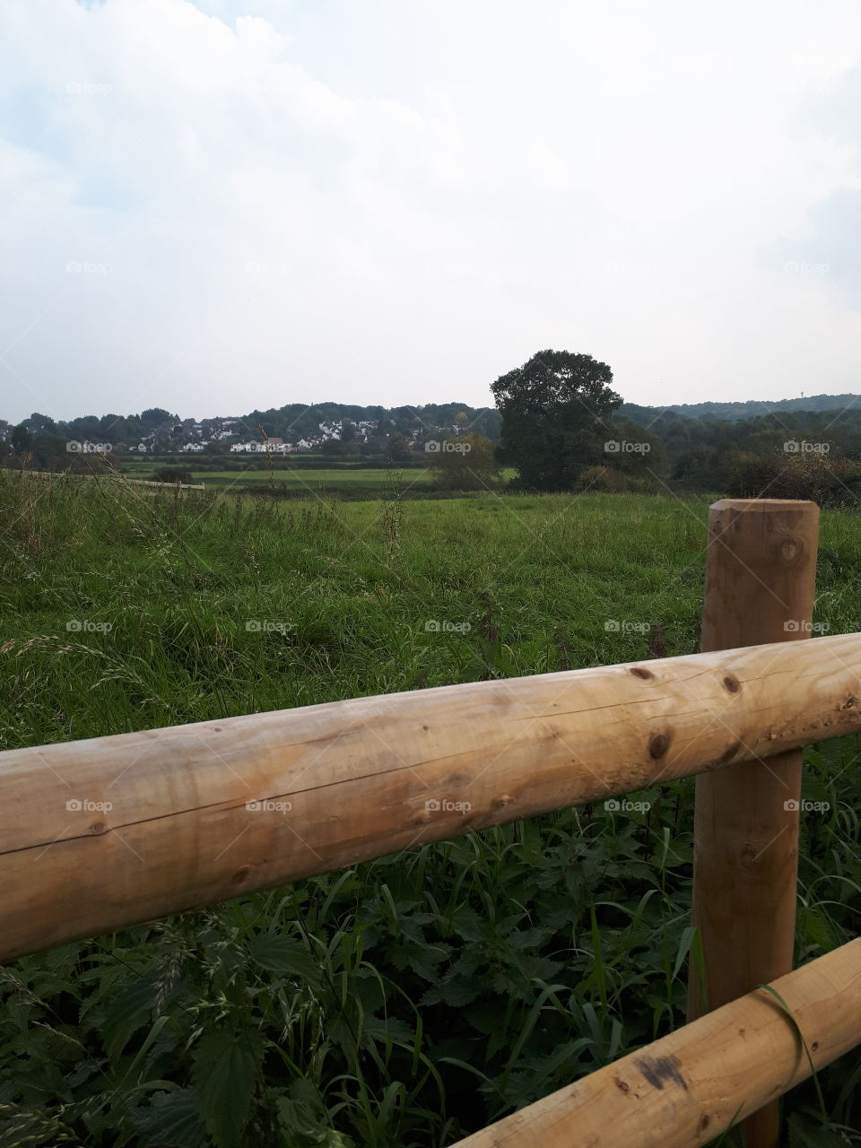 Wood, Wooden, Nature, No Person, Summer